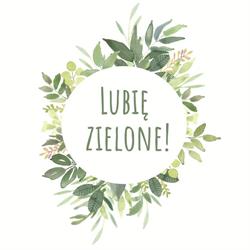 Lubię zielone! Eko sklep, Łapy godziny otwarcia