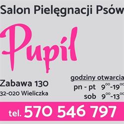 Salon Pielęgnacji Psów PUPIL, Wieliczka godziny otwarcia