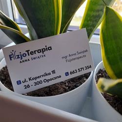 FIZJOTERAPIA Anna Świątek, Opoczno godziny otwarcia