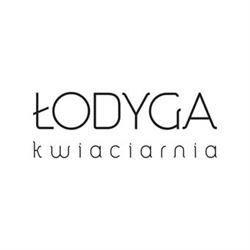 Kwiaciarnia Łodyga, Wrocław godziny otwarcia