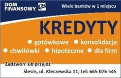 Dom Finansowy QS, Ślesin godziny otwarcia