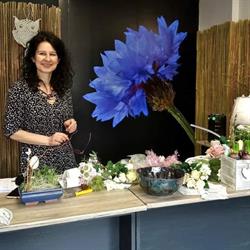 Chabrowe Studio - kwiaty & wnętrze, Gryfice godziny otwarcia