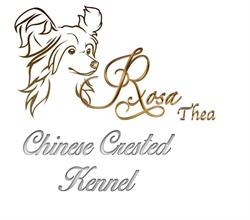 Rosa Thea Kennel - chinese crested dogs, Warszawa godziny otwarcia