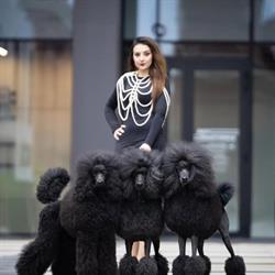 DOG STAR strzyżenie psów Łódź, godziny otwarcia