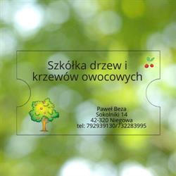Szkółka drzewek i krzewów owocowych Beza, Sokolniki godziny otwarcia