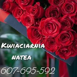 Natea, Kędzierzyn-Koźle godziny otwarcia