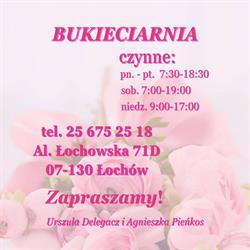 Bukieciarnia, Łochów godziny otwarcia