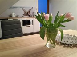 Apartament Nad Zatoką Władysławowo, godziny otwarcia