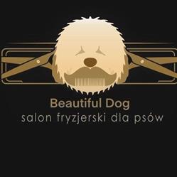 Beautiful Dog, Kraków godziny otwarcia