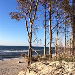 Plaża Łazy, godziny otwarcia
