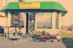 Azalia, Skrwilno godziny otwarcia