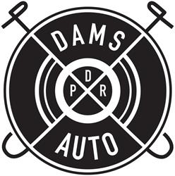 PDR-DAMSAUTO - usuwanie wgnieceń bez lakierowania, Drezdenko godziny otwarcia