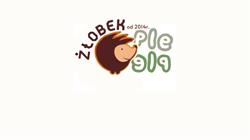 Żłobek Ple-Ple w Mszanie Dolnej, Mszana Dolna godziny otwarcia