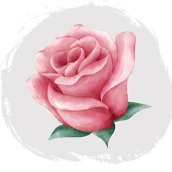 RESTAURACJA ROSE IDA, Opole godziny otwarcia