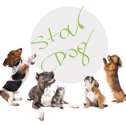StarDog, Stargard godziny otwarcia