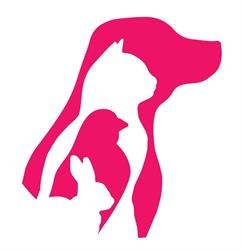 Animal Atelier fryzjer dla psów i kotów Opole, godziny otwarcia