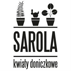 SAROLA ADRIAN RZEPECKI, Rydzyna godziny otwarcia
