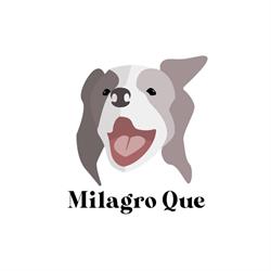 Milagro Que Kennel, Obryte godziny otwarcia