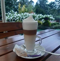 Kawiarnia Leśna LUXE, Krynica-Zdrój godziny otwarcia