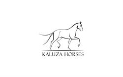 Kaluza Horses, Olszowa godziny otwarcia