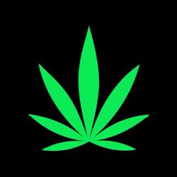 Green Medical CBD, Kraków godziny otwarcia
