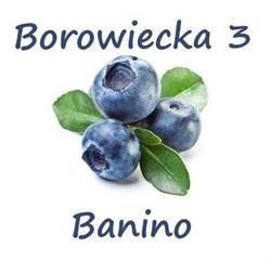 Centrum Borowiecka 3, Banino godziny otwarcia