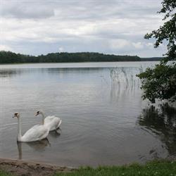 Agroturystyka Rybaczówka, Mrągowo godziny otwarcia