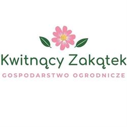Kwitnący Zakątek, Choroszcz godziny otwarcia