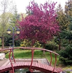 Dein Garten, Wąwelnica godziny otwarcia
