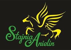 Stajnia Anielin, Okonek godziny otwarcia
