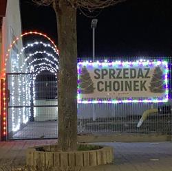 Choinki u Karola, Białobrzegi godziny otwarcia