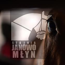 Stajnia Janowo Młyn, Mrocza godziny otwarcia