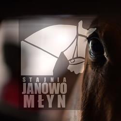 Stajnia Janowo Młyn, Mrocza godziny otwarcia