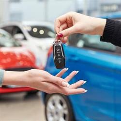 BEATRIX CAR RENT Wypożyczalnia samochodów Mińsk Mazowiecki, Nowe Osiny godziny otwarcia