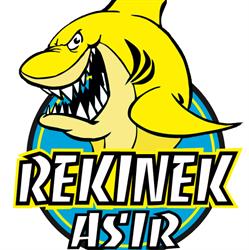 Szkoła pływania ASiR REKINEK, Mińsk Mazowiecki godziny otwarcia