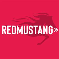 REDMUSTANGR - Strony Internetowe, Pozycjonowanie, Reklama w Google, Social Media, Opole godziny otwarcia