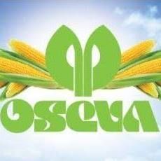 Oseva Polska Sp. z o.o., Poznań godziny otwarcia