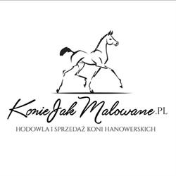 Konie Jak Malowane - hodowla koni Hanowerskich, Pilchowo godziny otwarcia