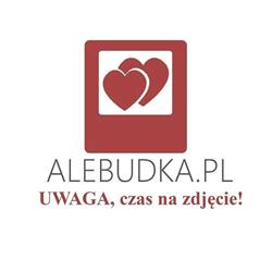 Fotobudka, ciężki dym, zimne iskry, napis LOVE, taniec w chmurach www.alebudka.pl, Zwierzyn godziny otwarcia