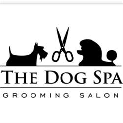 The Dog Spa - Fryzjer psów + HOTELIK domowy z ogrodem Wilanów, Groomer, Warszawa godziny otwarcia