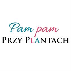 PAM PAM Przy Plantach. Ambasada Pomelody. Radość rodzinnego muzykowania, Poznań godziny otwarcia