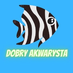 Dobry Akwarysta, Stary Zamość godziny otwarcia