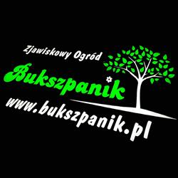 Bukszpanik.pl - Zjawiskowy Ogród, szkółka roślin ozdobnych, Knurów godziny otwarcia