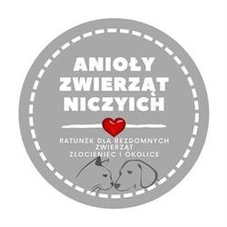 Fundacja "Anioły Zwierząt Niczyich", Złocieniec godziny otwarcia