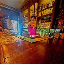 Antykvariat Cafe Kartuzy, godziny otwarcia
