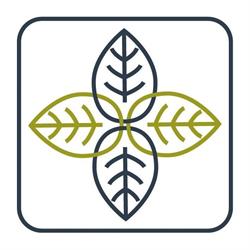 Medycyna Holistyczna, Fizjoterapia, Psychoterapia Kraków, godziny otwarcia