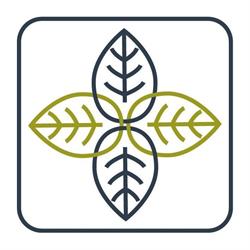 Medycyna Holistyczna, Fizjoterapia, Psychoterapia Kraków, godziny otwarcia