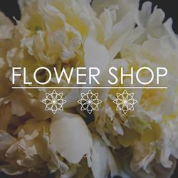 Kwiaciarnia FLOWER SHOP, Toruń godziny otwarcia