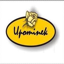 Kwiaciarnia Upominek, Rusiec godziny otwarcia