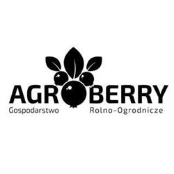 Agro-Berry Łukasz Kurlapski, Ozorków godziny otwarcia